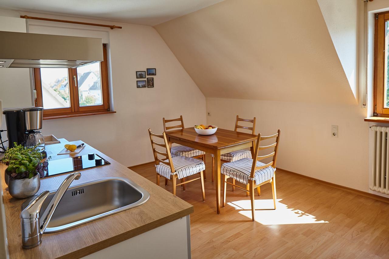Bodensee Apartment Friedrichshafen Seenah Экстерьер фото